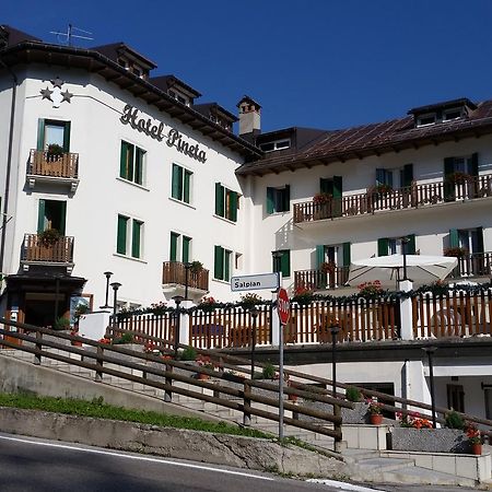 Hotel Pineta Falcade Εξωτερικό φωτογραφία